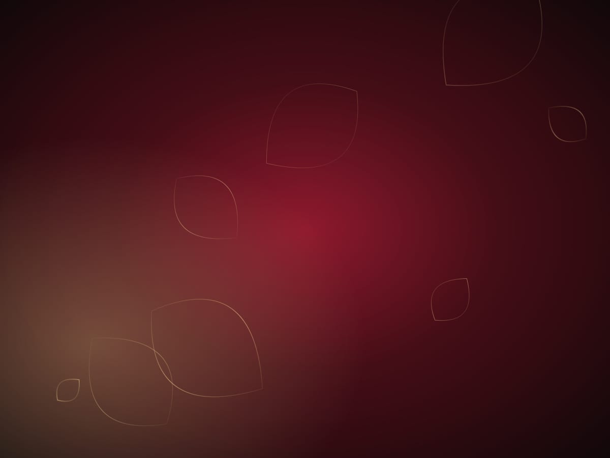 Abstract rose and gold lines on a dark background