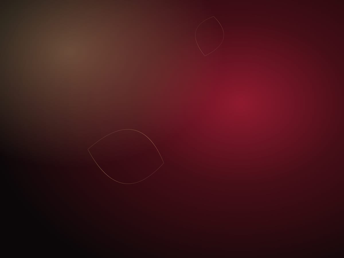 Abstract rose and gold lines on a dark background