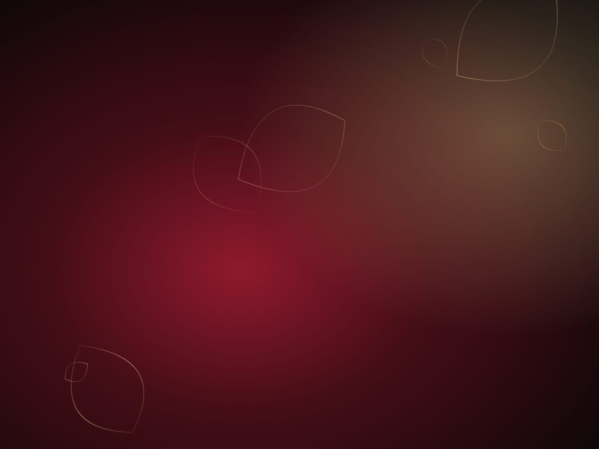 Abstract rose and gold lines on a dark background